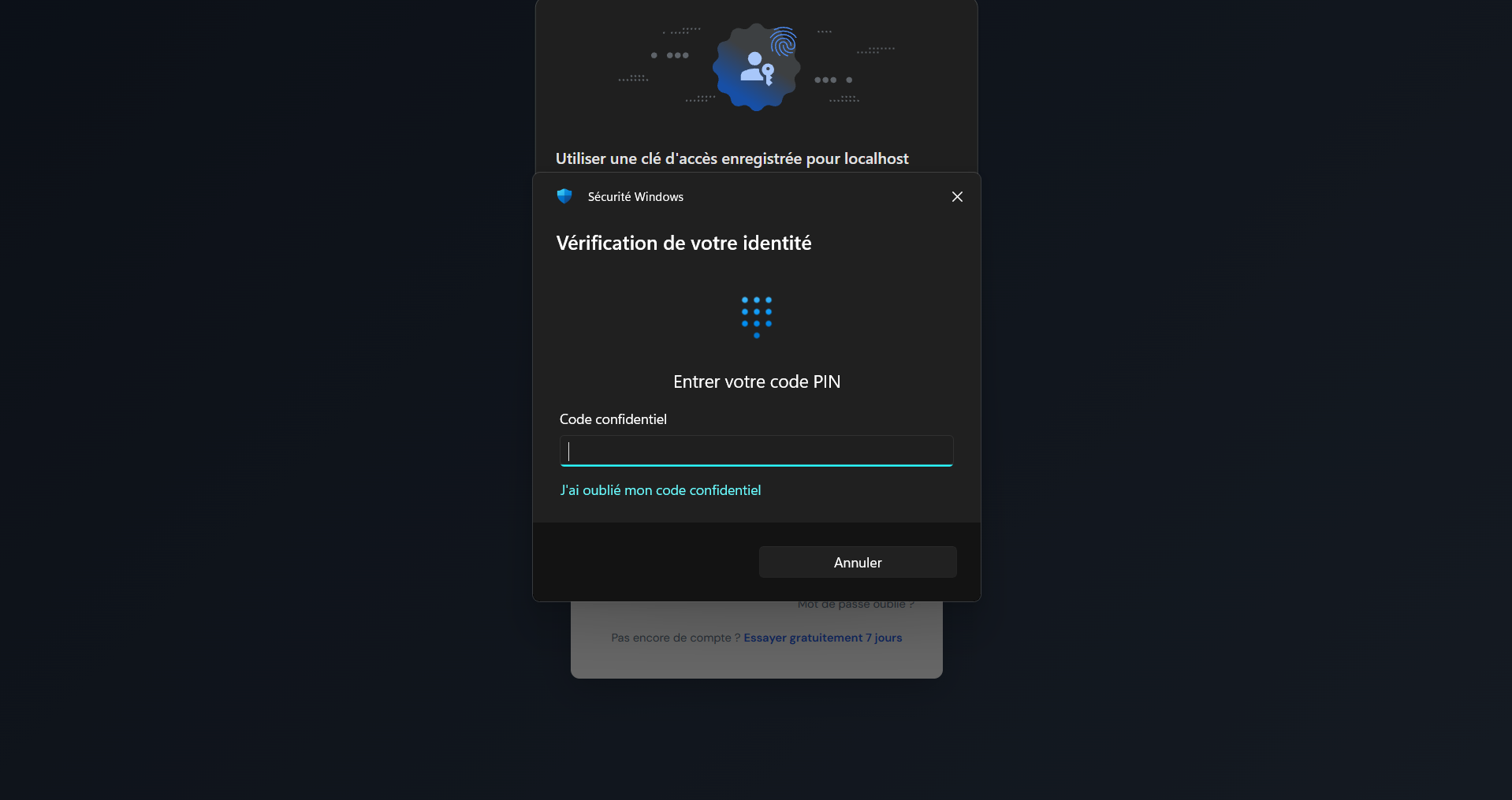 Demande du PIN Windows Hello
