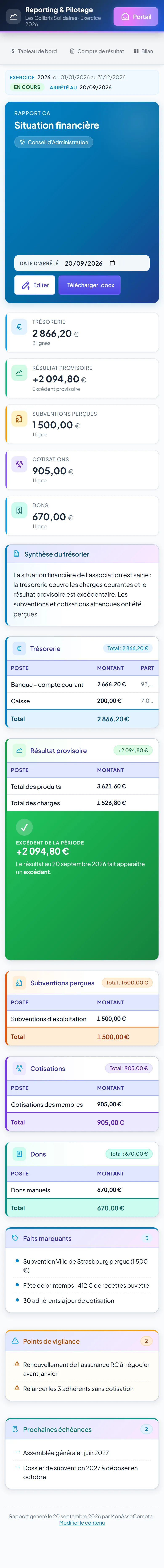 Rapport de chiffre d'affaires sur mobile