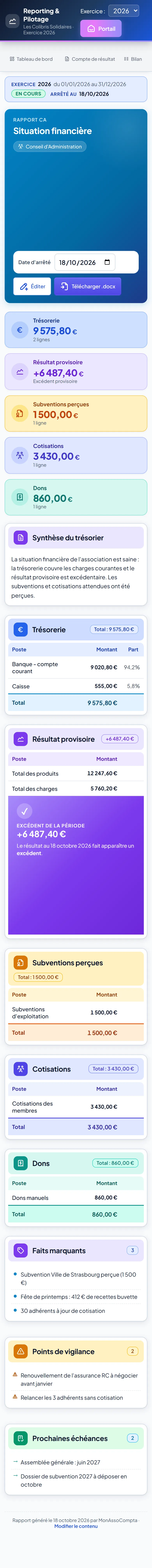 Rapport de chiffre d'affaires sur mobile
